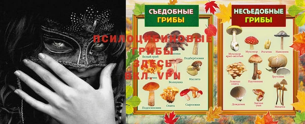 эйфоретик Михайловск